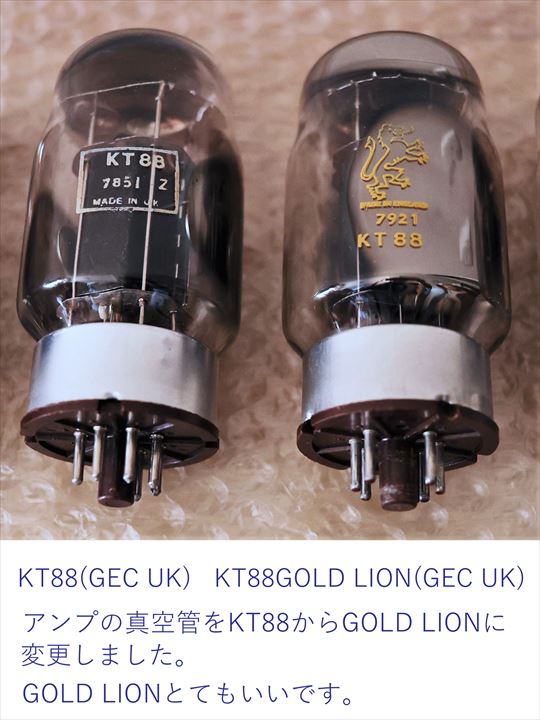 KT88GOLD LION